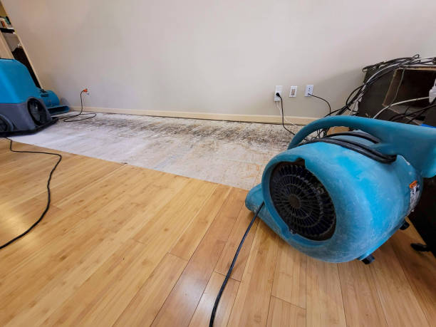 Professional Water Removal technician working in Napoleon, MO